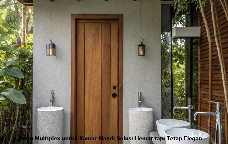 pintu multiplex